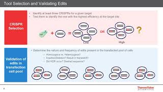 Genome Editing for Functional Genomics and Drug Discovery [upl. by Peder]