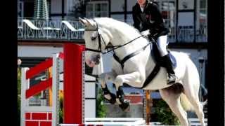 Faszination Springreiten ♥ [upl. by Bobbie]