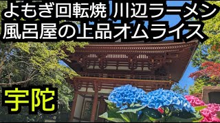 絶景よもぎ回転焼と懐かしラーメン 上品ふわふわオムライス＆アジサイ室生寺【奈良 宇陀市】 [upl. by Hsekin565]