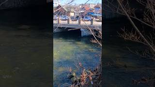 Gatlinburg TN 🏞️gatlinburg floods smokies [upl. by Spatola]