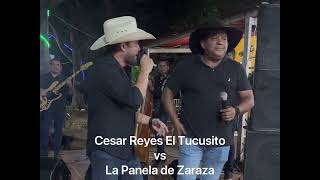 CONTRAPUNTEO DE DOS GALLOS FINOS Cesar Reyes El Tucusito vs La Panela de Zaraza [upl. by Wes555]