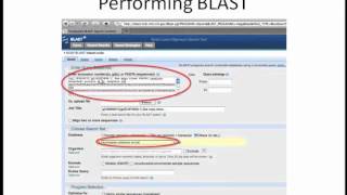 How to Align Sequences Webinar 27 BLAST for Sequence Alignment [upl. by Doley]