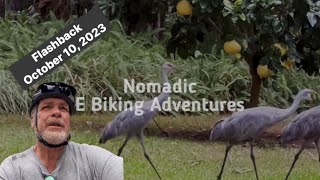 FLASHBACK Exploring Micanopy Florida on my new E Bike  Jasion EB7 20 [upl. by Seligmann]