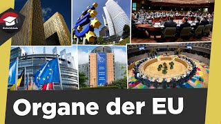 Organe der EU  Europäische Institutionen  Aufgaben Merkmale Sitz  Organe der EU erklärt [upl. by Dnalyar]