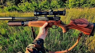 Decoying Pigeons using my BSA R10 supercarbine [upl. by Raila]