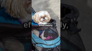 Zoosky Folding Dog Stroller [upl. by Eilak]