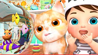 Les Aventures de Mon Chat  Chansons Pour Enfants  Comptines pour enfants Baby Angel Français ASL [upl. by Shane]