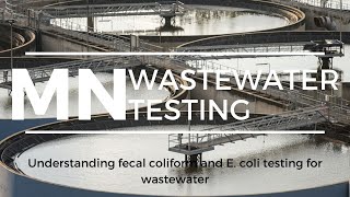 Minnesota Understanding fecal coliforms and E coli testing for wastewater testing [upl. by Ahsieyn]