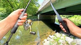 Fishing the CREEK Eating Whatever I Catch Catch and Cook [upl. by Allsopp38]