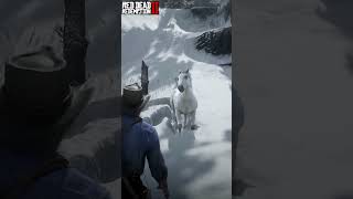 The White Arabian Horse  Red Dead Redemption 2 [upl. by Dirfliw]