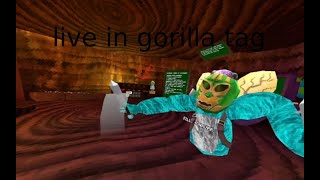 making my gorilla tag fan game [upl. by Nnave]