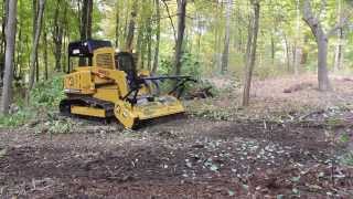 C100LGP Mulching [upl. by Dorolisa228]