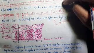 Cervical Intraepithelial Neoplasia CIN Pathology [upl. by Nylra518]