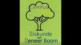 Vergroten en verkleinen Gelijkvormige driehoeken 2VMBO Kader  TL [upl. by Essinger]