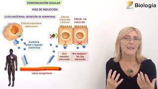 18 BiologíaComunicación celular [upl. by Akenot]