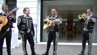 Popular Mexican song by Mariachi Band in Cleveland [upl. by Kalie]