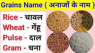 Cereals and Grains name in English and Hindi  Grains name  Cereals name  अनाजों के नाम [upl. by Bacchus68]