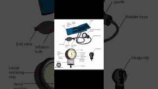 Parts of sphygmomanometer BP apparatus medical shorts [upl. by Nanek]