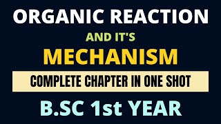 Organic Reaction and Mechanism Complete Chapter In One Shot  BSC 1st Year Organic Chemistry [upl. by Fromma566]