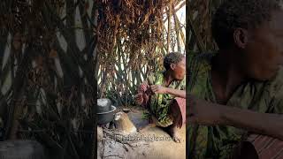 Hadzabe Tribe women live peacefully in the village in the forest [upl. by Terriss]