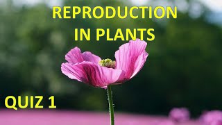 Reproduction in plants Quiz 1 [upl. by Egide]