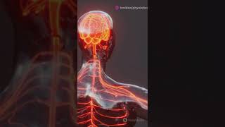 DERMATOMES amp MYOTOMES EXPLAINED IN JUST 60 SECONDS 👉 ▶️ThephysioBench facts medical [upl. by Gothurd]