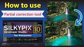 Partial correction tool SILKYPIX Developer Studio Pro10 for Panasonic [upl. by Dieterich398]