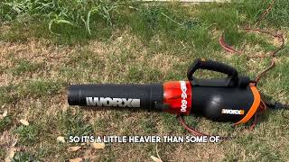 WORX Electric Leaf Blower Review [upl. by Jana509]