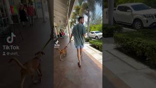 walking a dog in Turks amp Caicos [upl. by Kiran375]