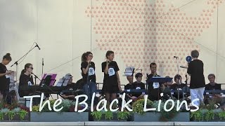 The Black Lions  Unchain My Heart  Live auf der Landesgartenschau Eutin 2016 [upl. by Eecyac]