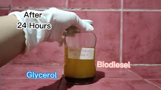 Making Biodiesel from used cooking oil  A transesterification process [upl. by Mastat]