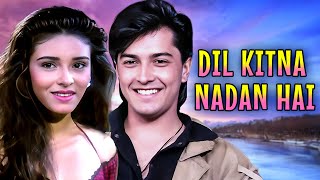 Dil Kitna Nadan Hai 1997  Full Movie  Superhit Bollywood Movie  Raja Bherwani Raageshwari [upl. by Amihsat]