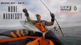 Kayak Fishing Mossel Bay Western Cape Day 2 [upl. by Ailito]