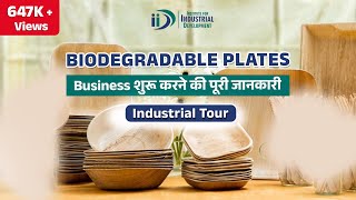 कम पूंजी में शुरू करे बायोडिग्रेडेबल प्लेट् का व्यवसाय  Biodegradable Plates Manufacturing Business [upl. by Abroms]