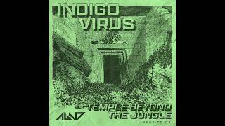 Indigo Virus  Rituals [upl. by Ahsaek]