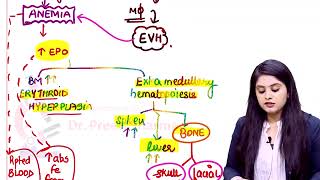 Thalassemia Major Pathology Rapid Revision For FMGE amp NEET PG By Dr Preeti Sharma [upl. by Susanetta487]