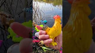 Kids Animal Name Learning Fun at the Pond Cat Dolphin Caterpillar Rooster Hammerhead Shark [upl. by Cedric381]