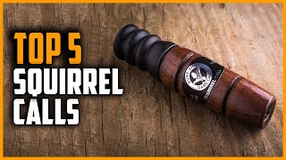 Top 5 Best Squirrel Calls in 2024 [upl. by Eniak]