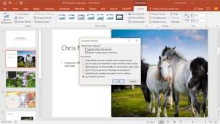 Compress all images in PowerPoint presentation at one time by Chris Menard [upl. by Dareg845]