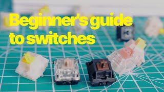 A Beginners Guide to Keyboard Switches [upl. by Joyann]