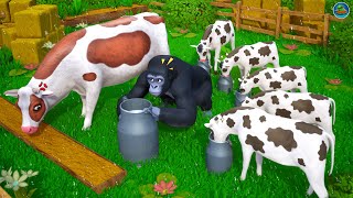 Gorillas Dairy Dilemma Cow Calfs Hilarious Milk Stealing Antics Funny Cows Comedy Cartoons [upl. by Laurella91]