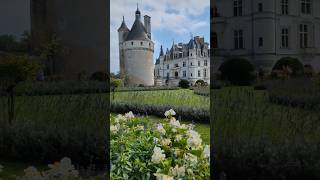 Château de Chenonceau chateau travel france chateaudechenonceau franceshorts castle [upl. by Pacifa]