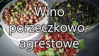 Wino porzeczkowoagrestowe  łatwy i szybki przepis [upl. by Grefer826]