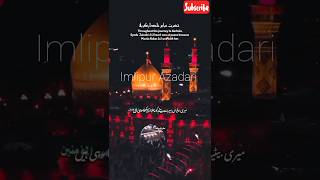 Hazrat Abbas Alamdare karbala😭😭shorts imlipurazadari [upl. by Dnamron305]