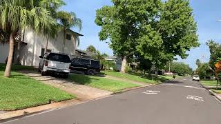 Driving Around 35th 36th Ave NE St Petersburg FL walk relax [upl. by Sumetra]