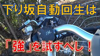 ブリヂストン 両輪駆動デュアルドライブ 電動アシスト自転車の無段階回生制動による下り坂自動ブレーキのおすすめ設定 [upl. by Hilleary804]