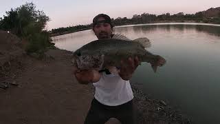 Fishing At Almaden Lake 19 [upl. by Erasme]