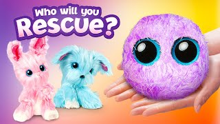 Pick Your New Pet And Rescue It  Reveal Your New Fluffy SCRUFFALUV [upl. by Kenzie]