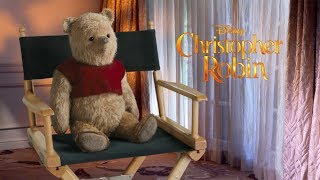 Interview with Christopher Robin Stars Winnie The Pooh Tiger Eeyore Tigger Piglet [upl. by Cherri101]