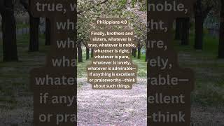 Philippians 48 bibleverseoftheday biblepassage [upl. by Oretos590]